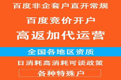 掌握SEM竞价技巧：从案例看效果提升